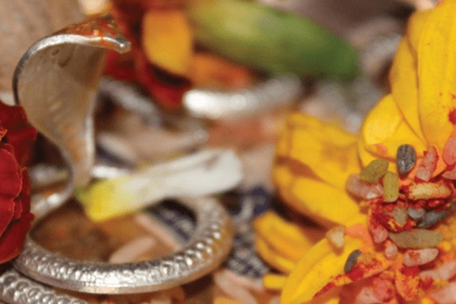 Narayan Nagbali Puja