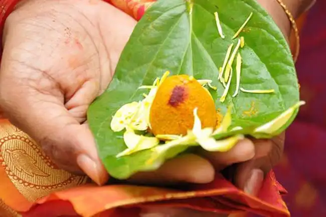 Pitrudosh Puja