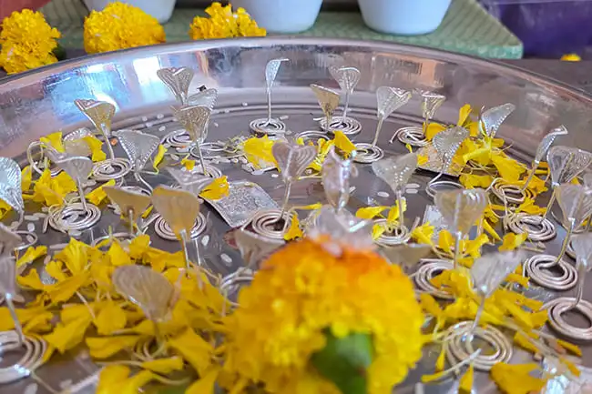 Kaal Sarp Dosh Puja